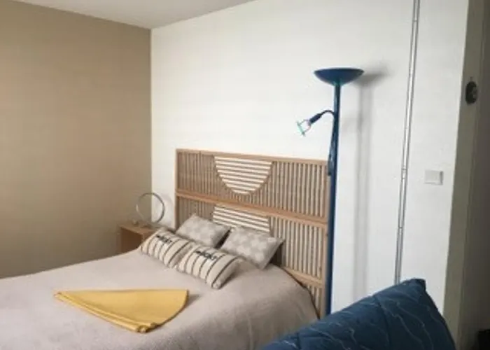 Cosy Pres De La Des Presidents, Equipe, Loggia, Quartier Recherche, Velos Gratuits - Fr-1-325-131 Apartament *