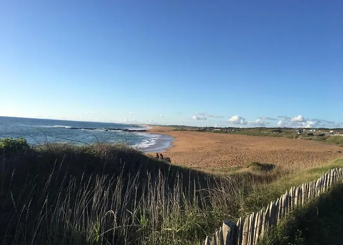 Cosy Pres De La Des Presidents, Equipe, Loggia, Quartier Recherche, Velos Gratuits - Fr-1-325-131